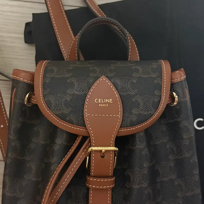 [BUNJANG] Celine Triomphe Mini Fullco Backpack / [S급/3회미만] 셀린느 트리오페 미니 풀코 백팩