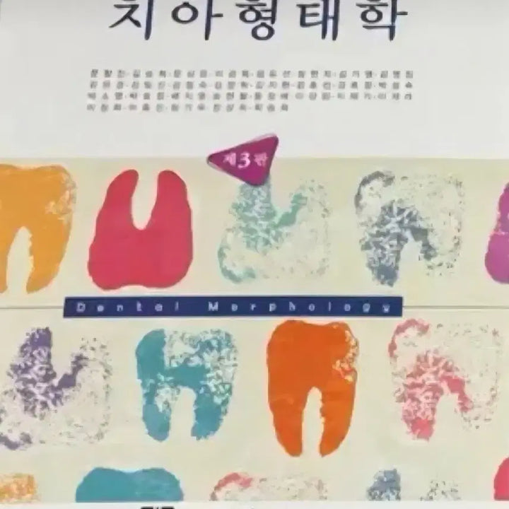 [BUNJANG] Unspecified Book / 치아형태학