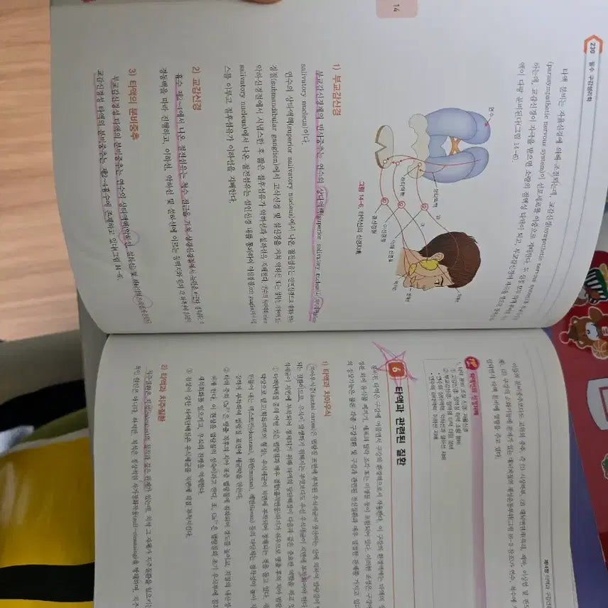 [BUNJANG] Unspecified Book / 치아형태학