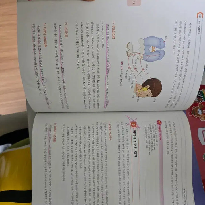 [BUNJANG] Unspecified Book / 치아형태학