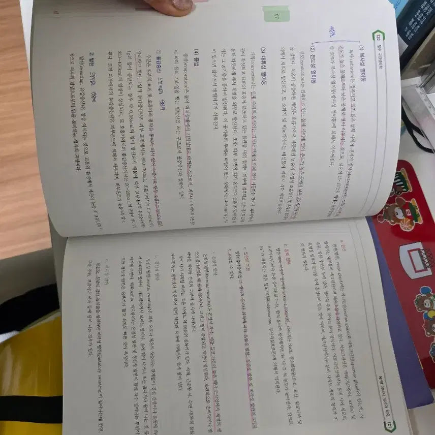 [BUNJANG] Unspecified Book / 치아형태학