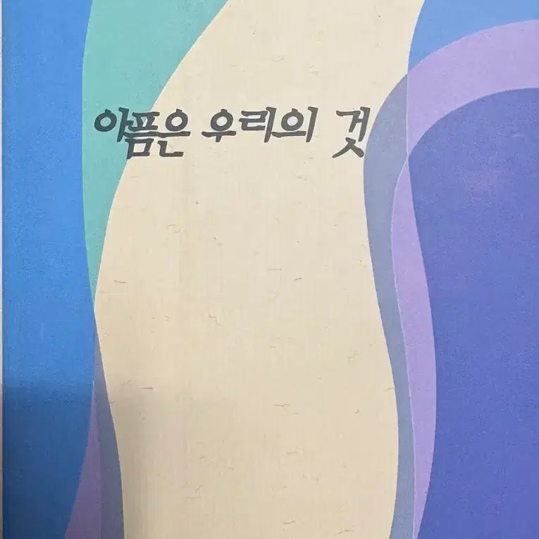 [BUNJANG] Chae Jong Han Pastel Edition Book / 아픔은 우리의것