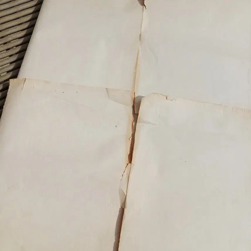 [BUNJANG] Old Geunjeongjeon Architectural Blueprint / 오래된 건축 도면 청사진  근정전