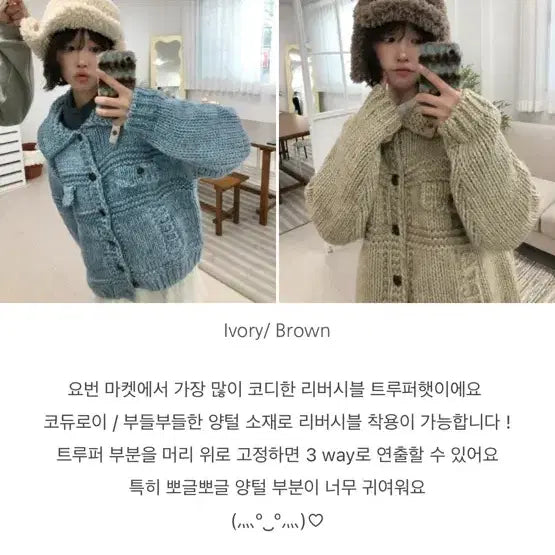 [BUNJANG] Reversible Trooper Hat - Brown / 리버시블 트루퍼햇