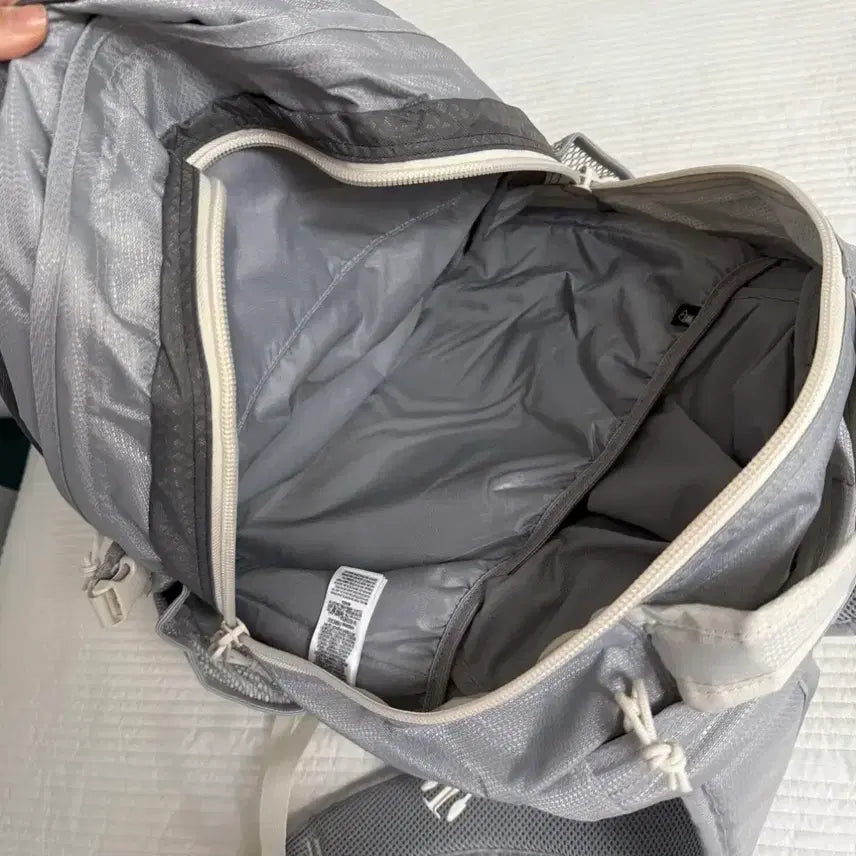 [BUNJANG] JanSport Odyssey Backpack / 잔스포츠 오딧세이 백팩 팝니다