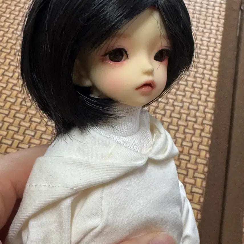 [BUNJANG] BJD Doll 1/6 Scale Full Set / 구체관절 인형 풀세트 1/6사이즈