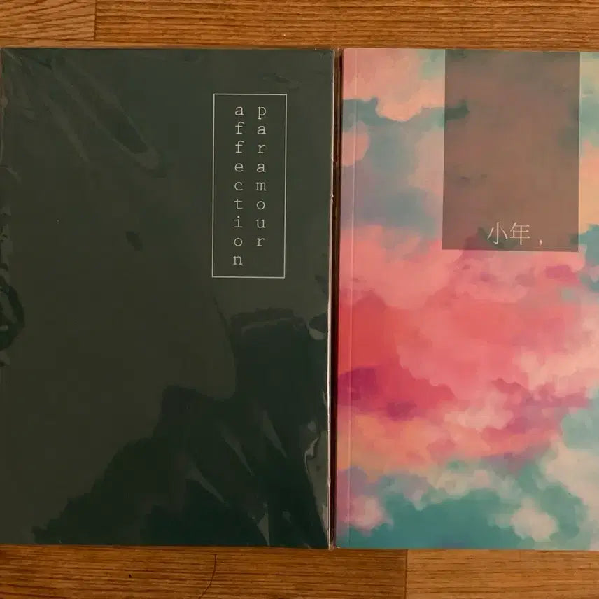 [BUNJANG] BTS V Jin Fanbook / 방탄소년단 BTS 뷔 진 뷔진 팬북 소장본