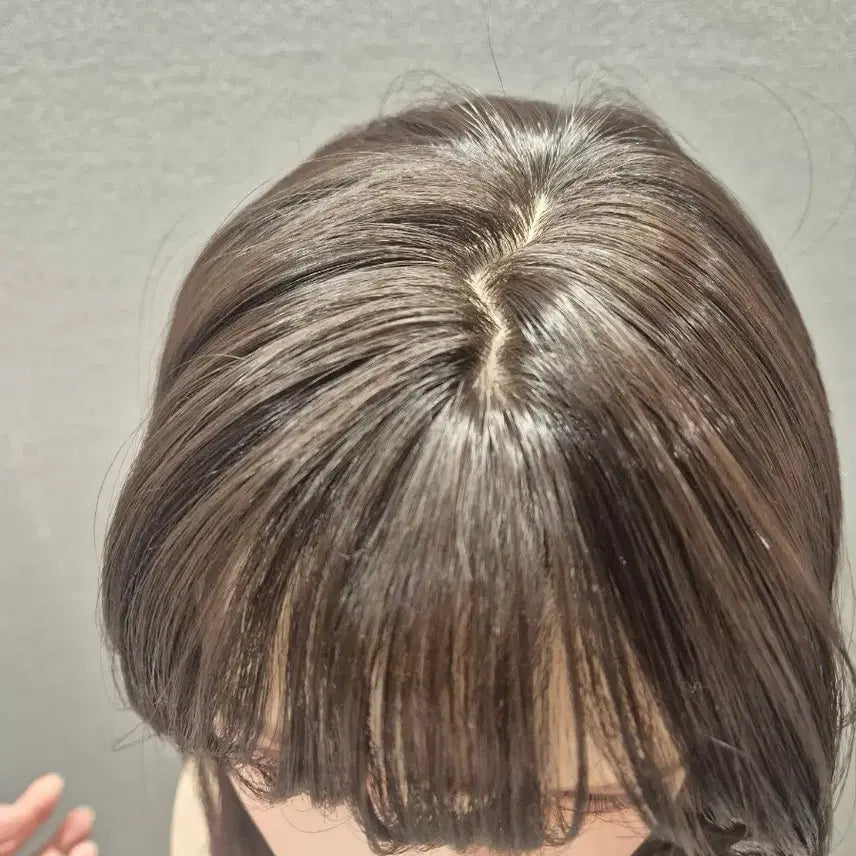 [BUNJANG] Pinkage Cecilia Full Wig (Dark Brown) / 핑크에이지 세실리아 통가발 수제통가발 (다크브라운)