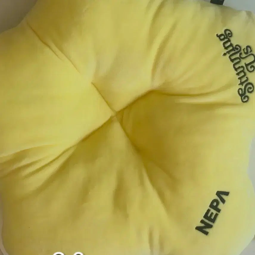 [BUNJANG] 2PM Junho Stunning Us Cushion / 이준호 스터닝어스 방석