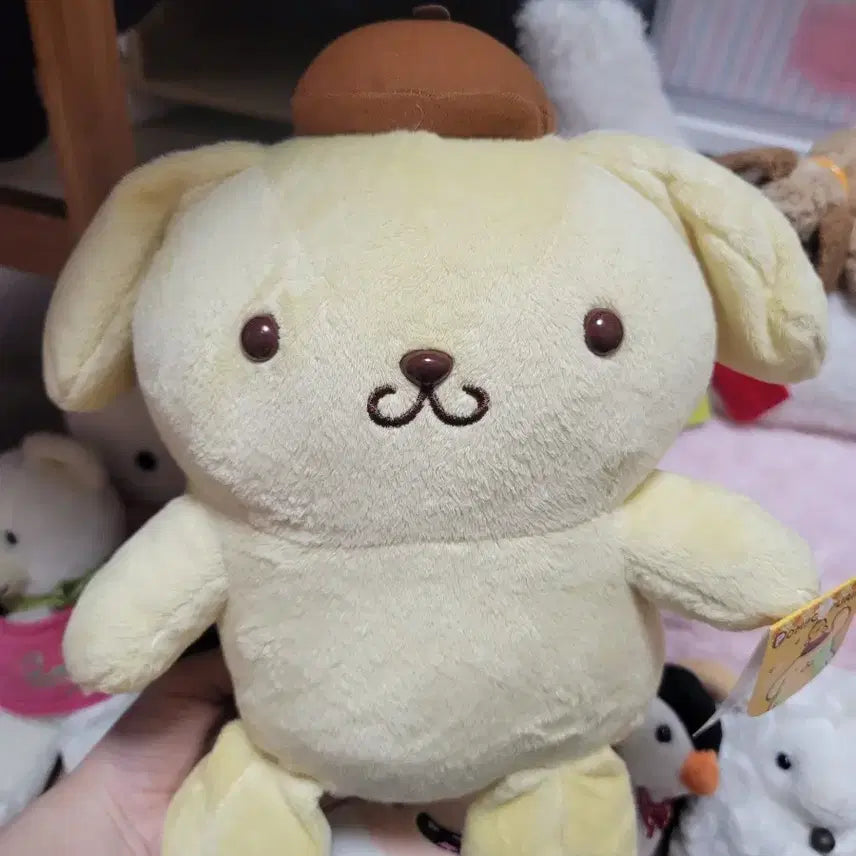 [BUNJANG] Sanrio Pompompurin Doll / 폼폼푸린인형