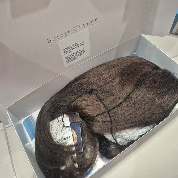 [BUNJANG] Gabalnara Volume Straight Wig Mocha Brown [M Size] / 가발나라 인모 볼륨스트레이트통가발 모카브라운 [M사이즈]