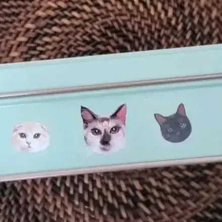 [BUNJANG] Unspecified Tin Case / 틴케이스 인상