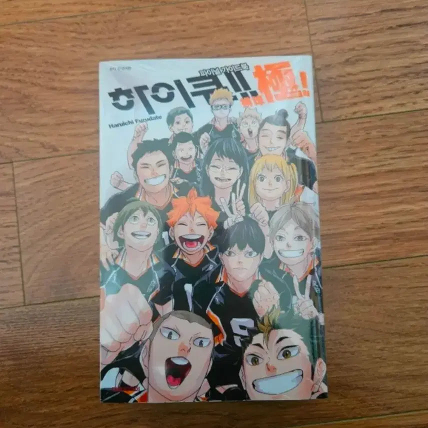 [BUNJANG] Haikyu Final Guidebook / 하이큐 파이널 가이드북 극! 단행본