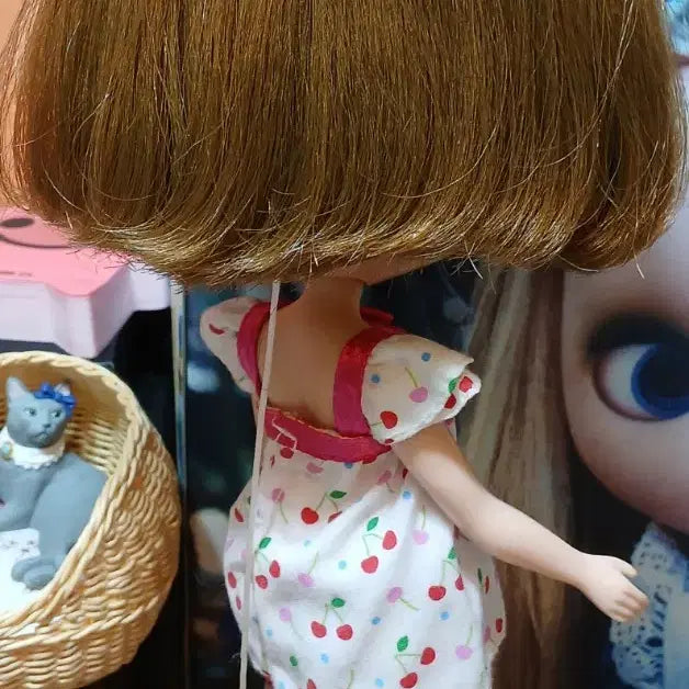 [BUNJANG] Blythe My Best Friend Doll / 블라이스 - 마이 베스트 프렌드 개봉
