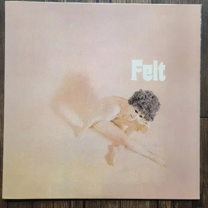 [BUNJANG] Felt 1971 Akarma 180g Vinyl Record / Felt 단순개봉 Mint+++ Akarma 180g