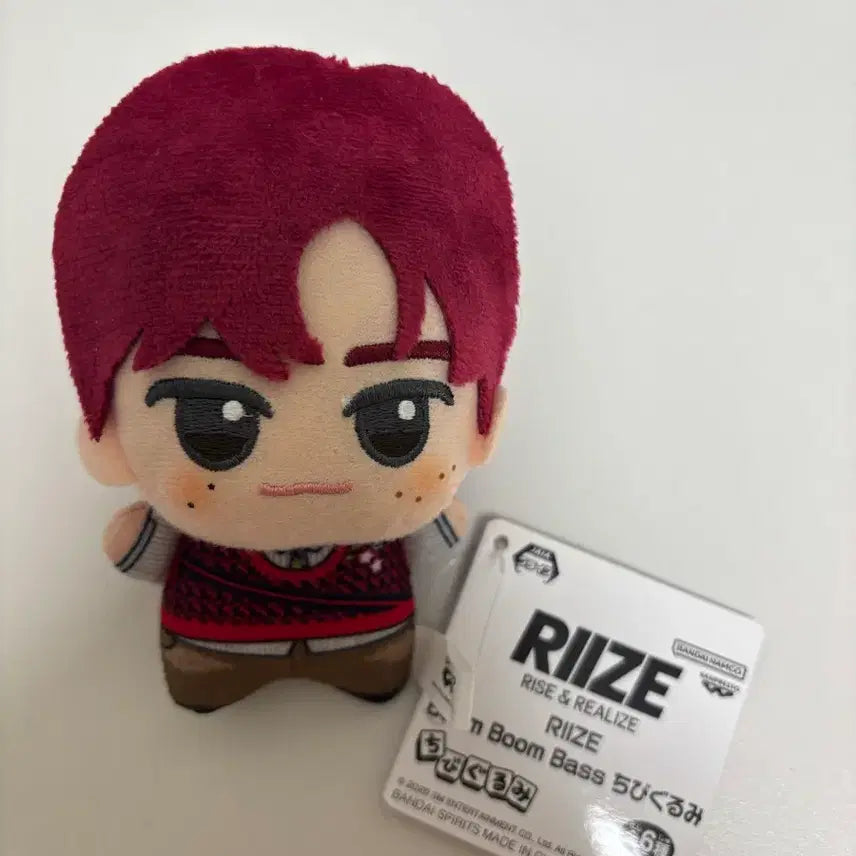 [BUNJANG] RIIZE Sohee Chibigurumi Doll / 라이즈 소희 치비구루미 인형