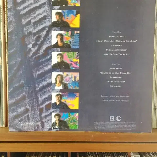 [BUNJANG] Chicago LP Record / 시카고 Chicago  LP