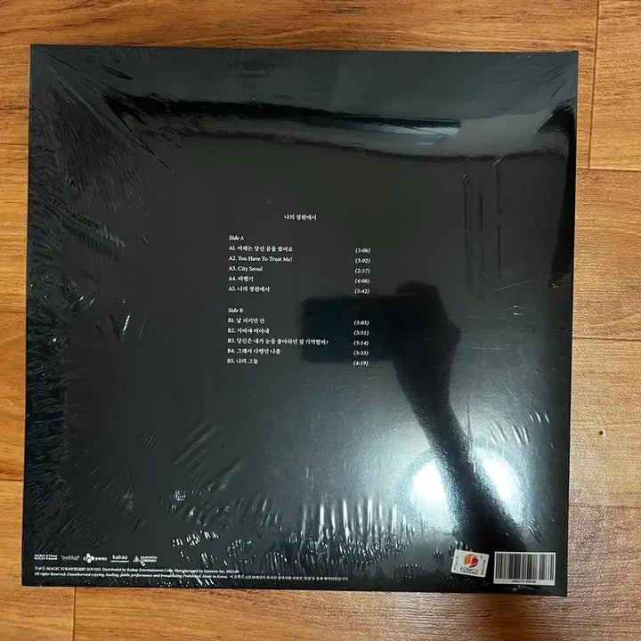 [BUNJANG] Yoon Ji Young My Garden LP (Sealed) / 윤지영 나의정원에서 lp 미개봉