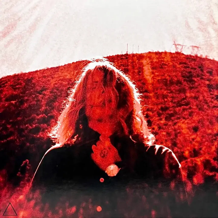 [BUNJANG] Ty Segall Manipulator Vinyl LP / 개러지록LP Ty Segall -Manipulator