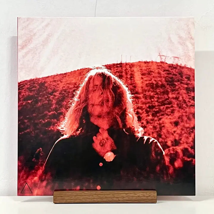 [BUNJANG] Ty Segall Manipulator Vinyl LP / 개러지록LP Ty Segall -Manipulator