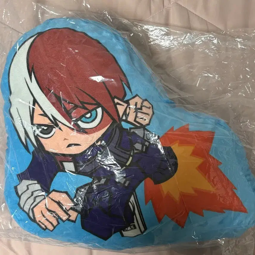 [BUNJANG] Spao Todoroki Cushion / 스파오 토도로키 쿠션