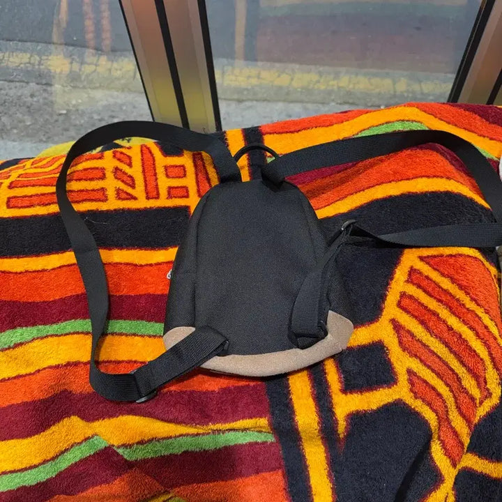 [BUNJANG] JanSport Mini Backpack / 잔스포츠 미니백팩