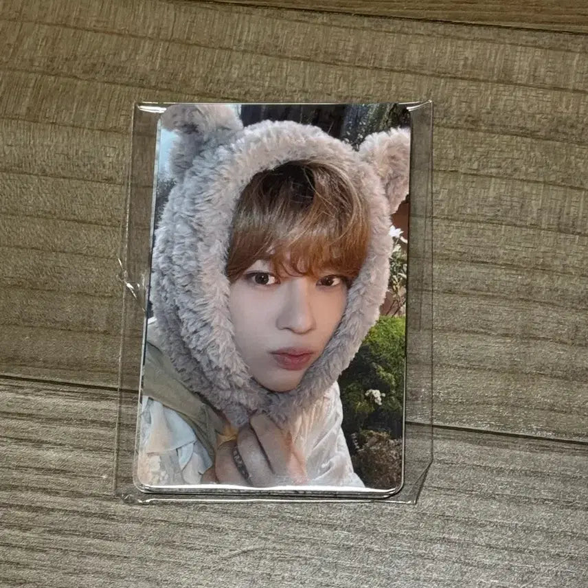 [BUNJANG] NCT Wish Japanese Membership POB Photocard Set / 미개봉 새상품) nct wish 엔시티위시 일본 멤버십 포카 세트