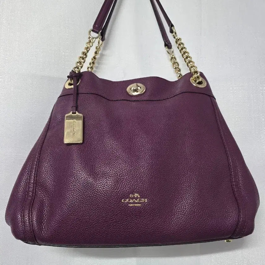 [BUNJANG] Coach Leather Handbag / 코치가방