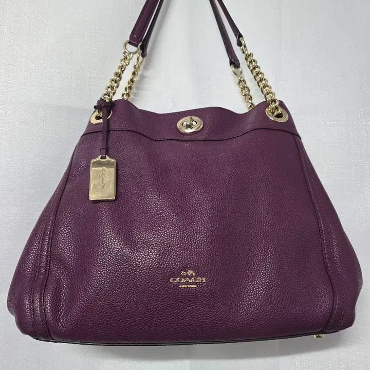 [BUNJANG] Coach Leather Handbag / 코치가방