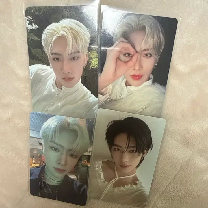 [BUNJANG] ZEROBASEONE Ricky Photocard Bundle Set / 제로베이스원 리키 포카 양도해요