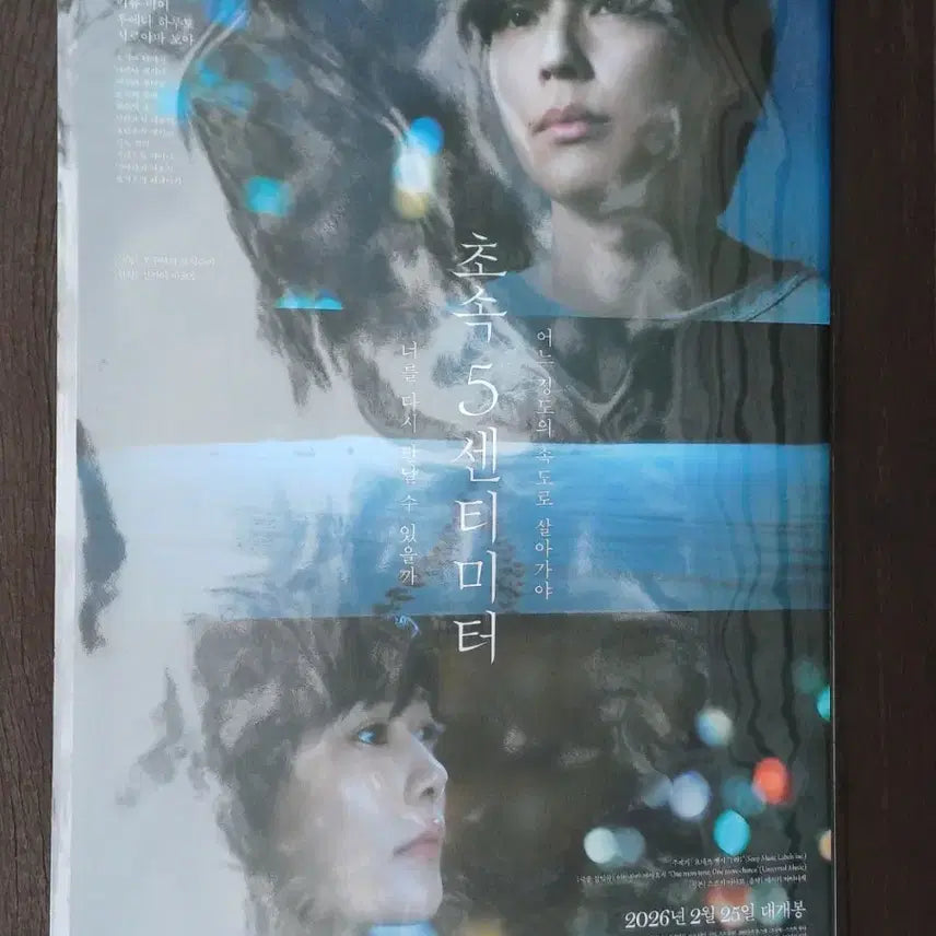 [BUNJANG] 5 Centimeters Per Second Poster / 초속 5센티미터 포스터