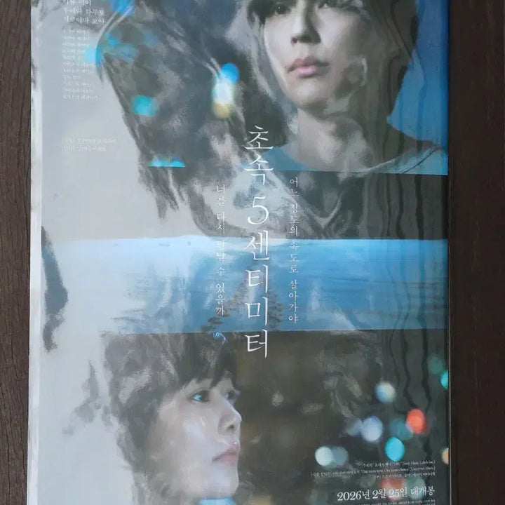 [BUNJANG] 5 Centimeters Per Second Poster / 초속 5센티미터 포스터