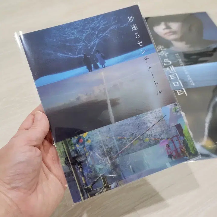 [BUNJANG] 5 Centimeters Per Second Art Card + Poster Set / [전용박스 안전포장] 초속5센티미터 아트카드+애니포스터+메인포스터