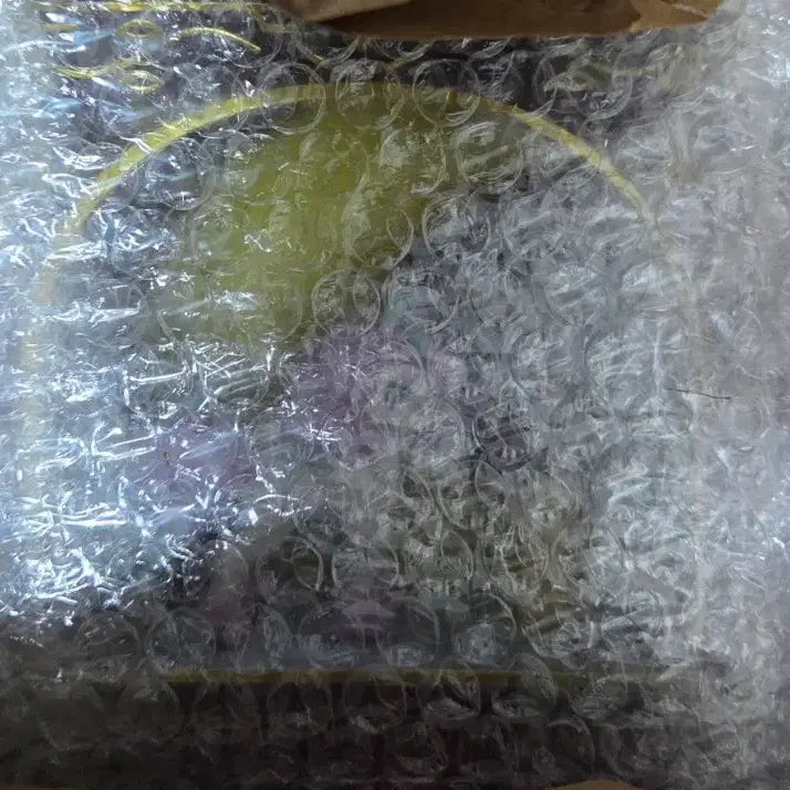 [BUNJANG] Pokemon Galarian Ponyta Pikachu Mood Lamp / 포켓몬스터 가라르 포니타 피카츄 무드등