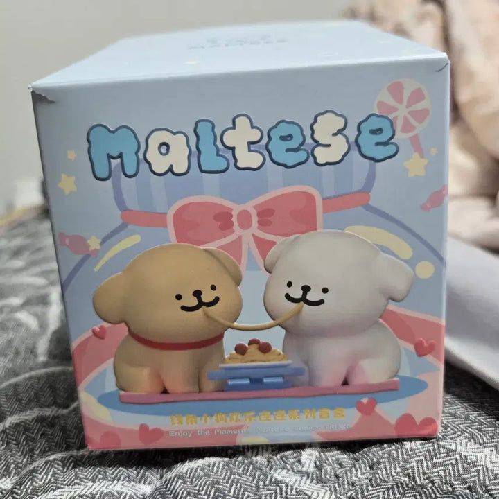 [BUNJANG] Maltese Figure Set / 몰티즈 피규어 5개