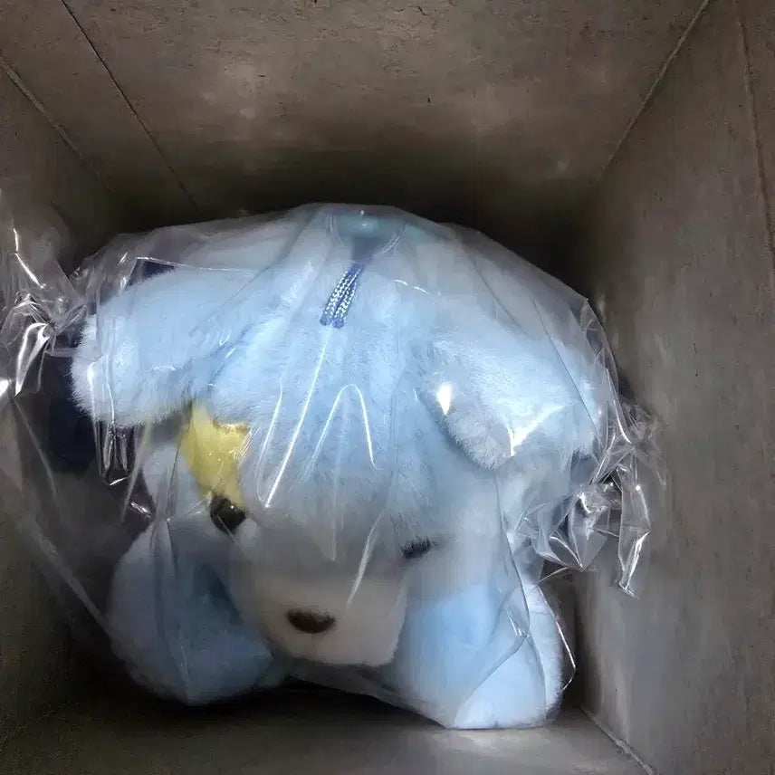 [BUNJANG] ENHYPEN Jungwon Voice Keyring / 엔하이픈 보이스키링 뱀부부 정원