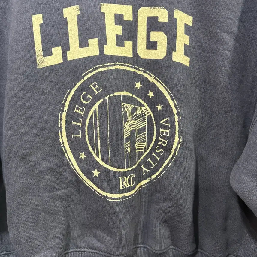 [BUNJANG] RECTO Printed Sweatshirt / RECTO 렉토  프린팅 맨투맨티