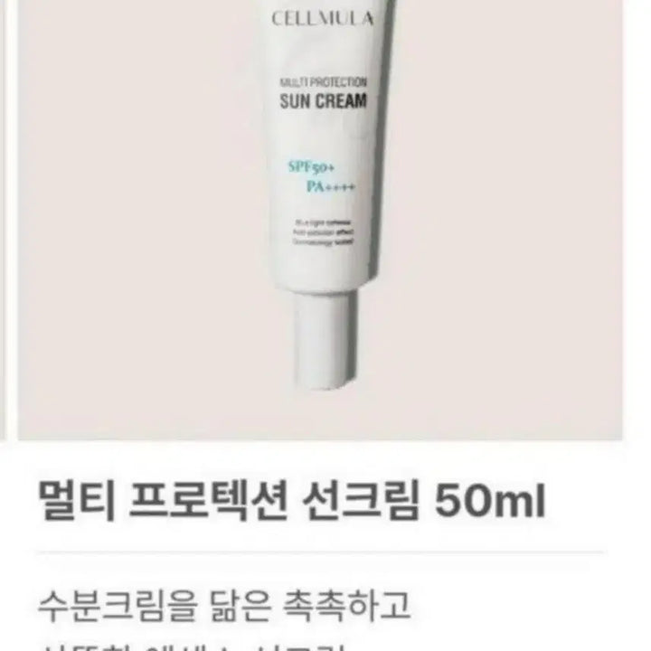 [BUNJANG] Sunscreen 50ml / 자외선차단제