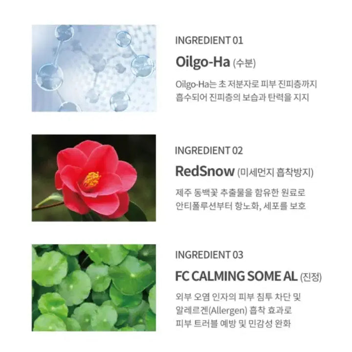 [BUNJANG] Sunscreen 50ml / 자외선차단제