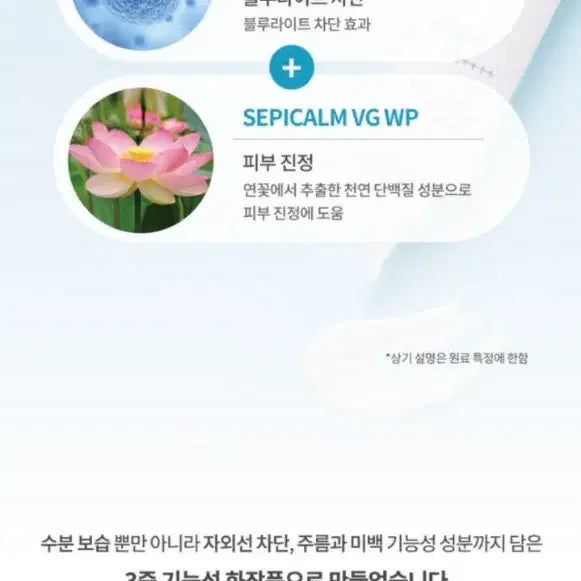 [BUNJANG] Sunscreen 50ml / 자외선차단제