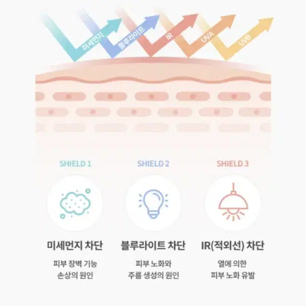 [BUNJANG] Sunscreen 50ml / 자외선차단제