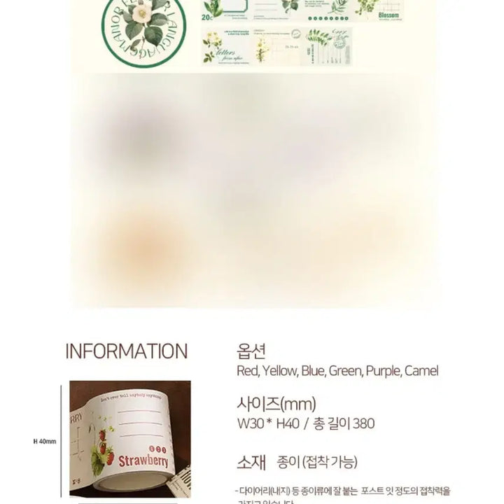 [BUNJANG] Vintage Green Retro Frame Roll / 빈티지 처분 [12] 그린 레트로 프레임 롤 스티커 다꾸