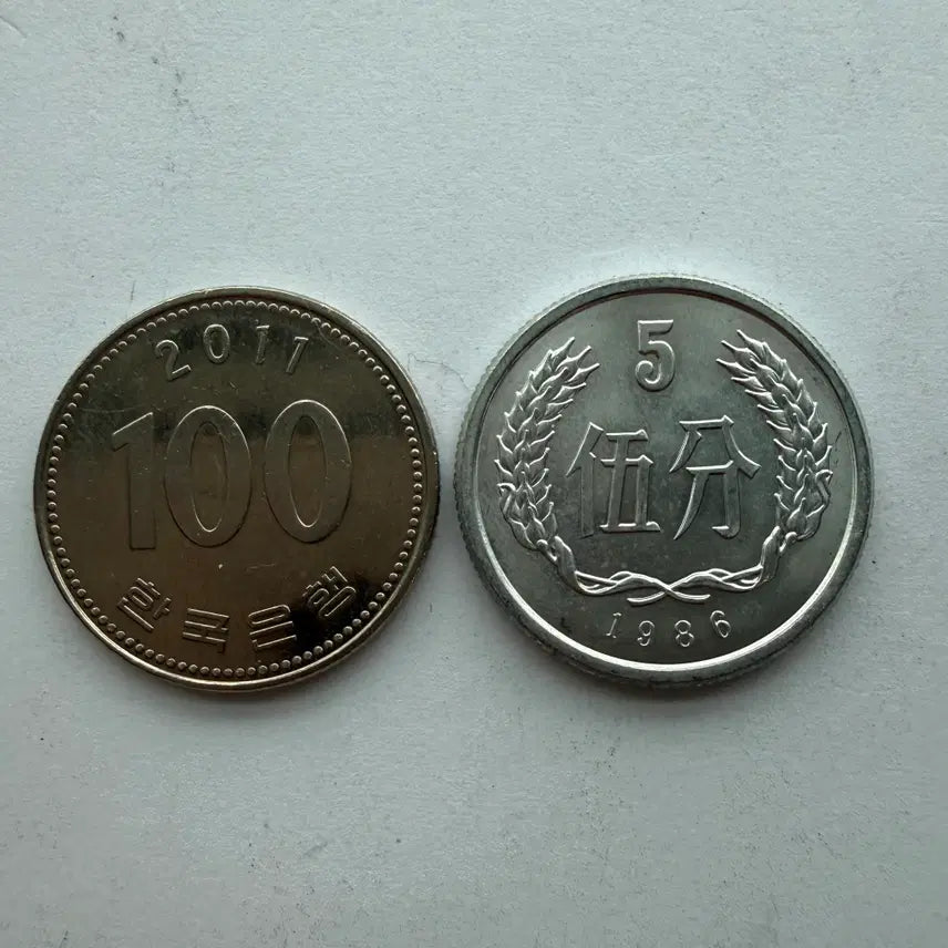 [BUNJANG] Chinese 5 Fen Coin (1986) / 1986년 중국 5분 동전 S456