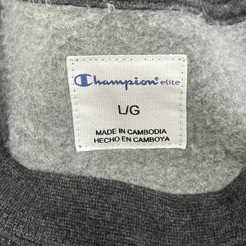 [BUNJANG] L Champion Sunfade Sweatshirt / L 챔피온 썬페이드 맨투맨 (물빠짐) 0224S1