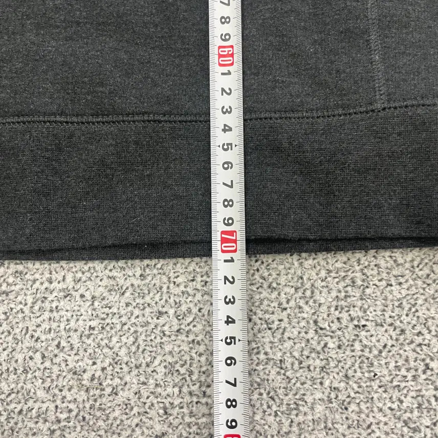 [BUNJANG] L Champion Sunfade Sweatshirt / L 챔피온 썬페이드 맨투맨 (물빠짐) 0224S1