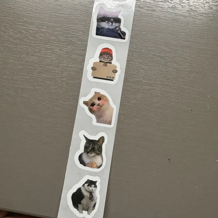 [BUNJANG] Cat Stickers / 고양이 스티커