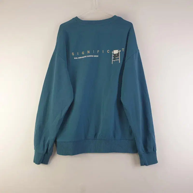 [BUNJANG] Generic Crew Neck Men's Sweatshirt / 남성105 백레터링 CREW 맨투맨 M0843