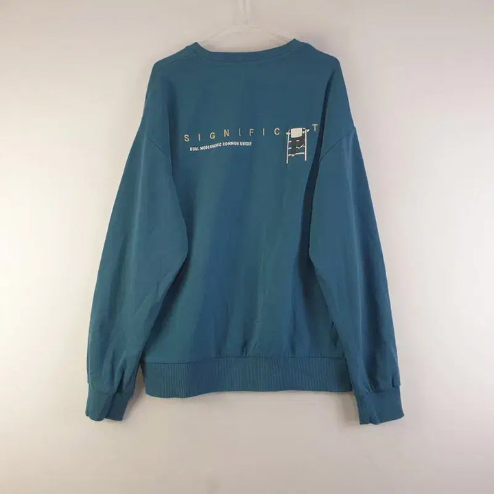 [BUNJANG] Generic Crew Neck Men's Sweatshirt / 남성105 백레터링 CREW 맨투맨 M0843