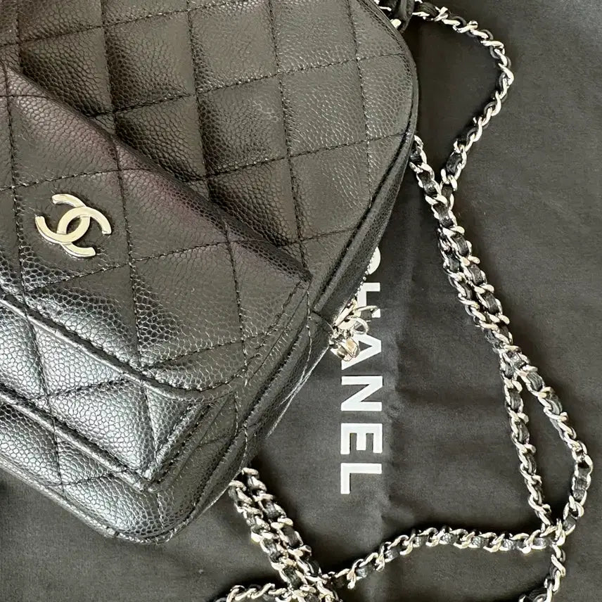 [BUNJANG] Chanel Cruise Caviar Mini Backpack Silver Hardware / 샤넬 크루즈 캐비어 미니백팩 은장