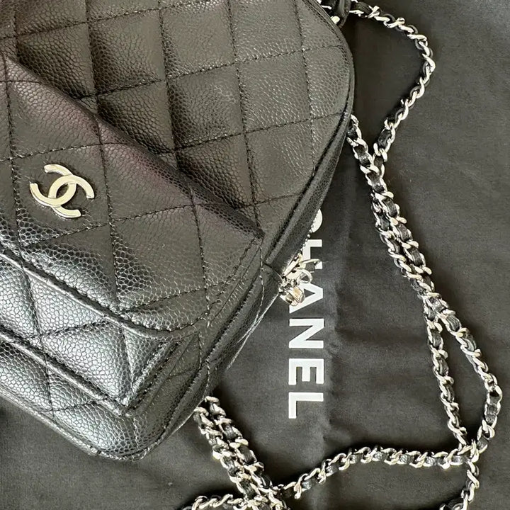 [BUNJANG] Chanel Cruise Caviar Mini Backpack Silver Hardware / 샤넬 크루즈 캐비어 미니백팩 은장